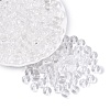 FGB Transparent Glass Seed Beads SEED-N013-01C-02-1