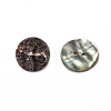 Abalone Shell/Paua Shell X-BSHE-I011-04A-1