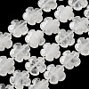 Natural Quartz Crystal Beads Strands G-L241A-20-2