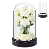 Acrylic Dome Cover DIY-WH0899-949B-1