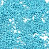 Baking Paint Glass Seed Beads SEED-S042-05B-58-3
