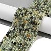 Natural Prehnite Beads Strands X-G-B088-E16-04-2
