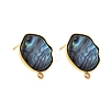 304 Stainless Steel Pave Natural Paua Shell Stud Earring Findings STAS-Z125-03G-2