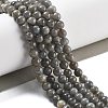 Natural Labradorite Beads Strands G-S333-6mm-035-01-2