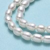 Natural Cultured Freshwater Pearl Beads Strands PEAR-J006-07F-4