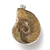 Snail Fossil Pendants G-D051-1-3