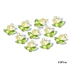 Handmade Lampwork Pendants PALLOY-YW028-01-1