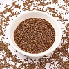 MIYUKI Delica Beads SEED-MY11-DB0505-2