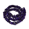 Natural Freshwater Shell Beads Strands SHEL-T020-40B-2