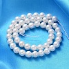 Shell Pearl Beads Strands X-SP8MM701-2