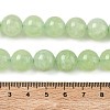Dyed Natural Malaysia Jade Beads Strands G-G021-01D-04-2