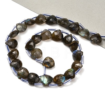 Natural Labradorite Beads Strands G-C292-A09-01-1