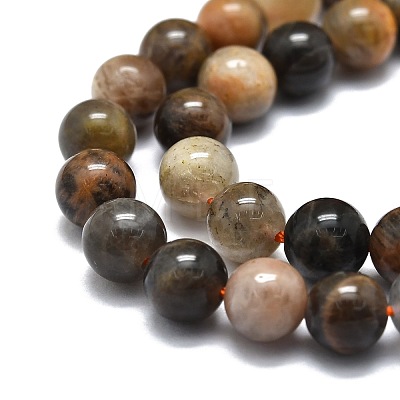 Natural Black Sunstone Beads Strands G-E576-01A-1