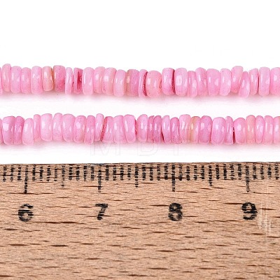 Natural Freshwater Shell Beads Strands SHEL-Q028-01E-1