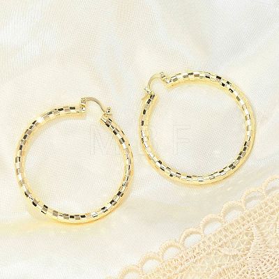 Brass Hoop Earrings EJEW-B117-06E-G-1