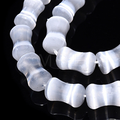 Dyed Natural Selenite Beads Strands G-T138-234A-1