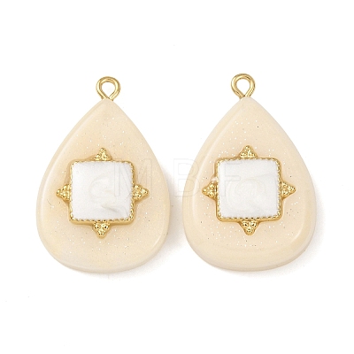 304 Stainless Steel Resin Pendants STAS-F352-07E-08-1
