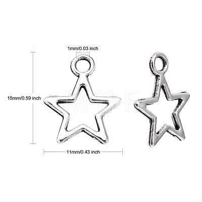 Tibetan Style Alloy Charms LF10651Y-NF-1