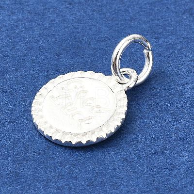 925 Sterling Silver Flat Round with Word Good Luck Charms STER-M119-04S-1