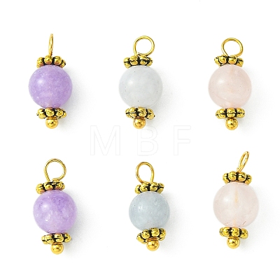 Natural Mixed Gemstone Round Charms PALLOY-JF02219-1
