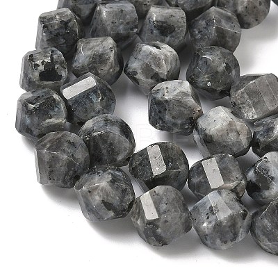 Natural Larvikite Beads Strands G-C267-B24-1