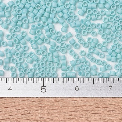 MIYUKI Delica Beads X-SEED-J020-DB1595-1