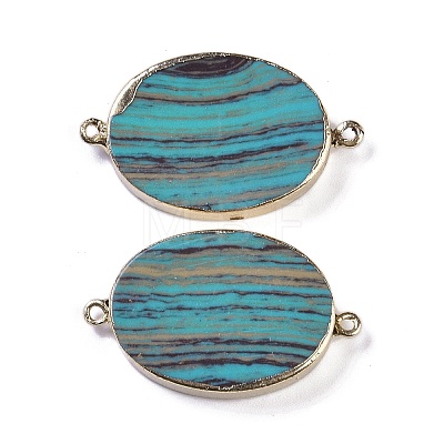 Synthetic Picture Jasper Dyed Connector Charms KK-F868-19G-01-1