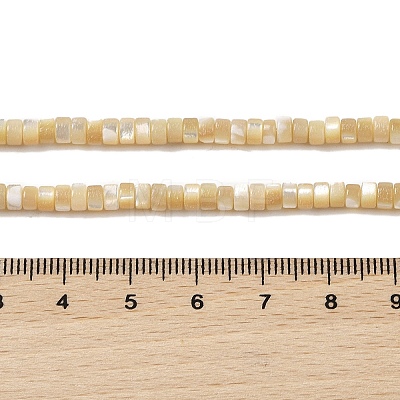 Natural Trochid Shell/Trochus Shell Beads Strands BSHE-H018-02-1