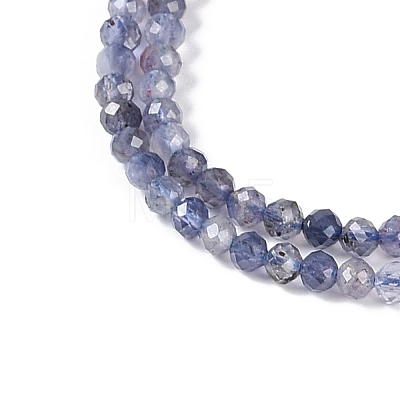 Natural Iolite Beads Strands G-N342-32-1