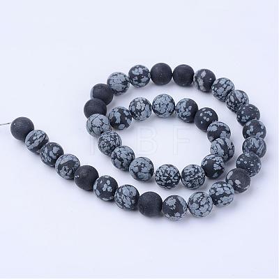 Natural Snowflake Obsidian Beads Strands G-Q462-6mm-10-1