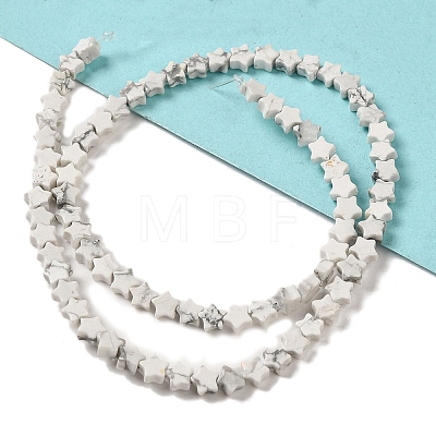 Synthetic Howlite Beads Strands G-G085-B33-02-1