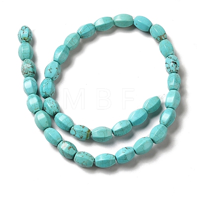 Natural Howlite Beads Strands G-C025-17-1