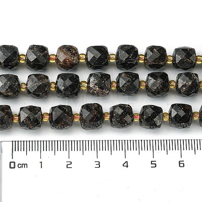 Natural Garnet Beads Strands G-Q010-A11-01-1