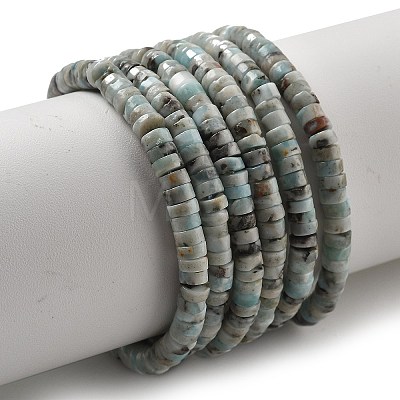 Natural Larimar Beads Strands G-Q024-B03-01-1