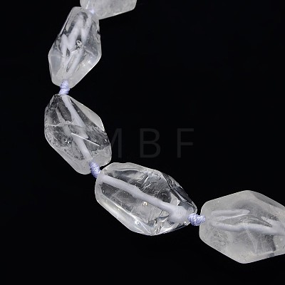 Natural Gemstone Quartz Crystal Beads Strands G-L159-09-1