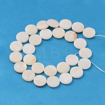 Natural White Shell Beads Strands PBB251Y-2-1
