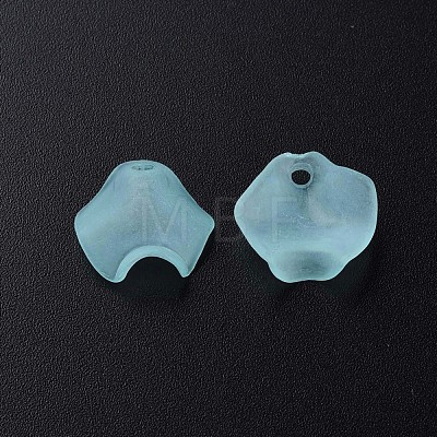 Transparent Acrylic Beads MACR-S373-106-D04-1