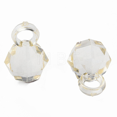 Transparent Acrylic Pendants MACR-S373-125-B09-1