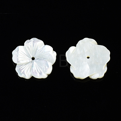 Natural White Shell Mother of Pearl Shell Beads SSHEL-T014-42B-1