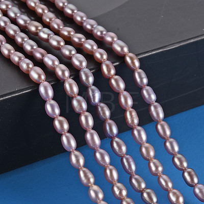Natural Cultured Freshwater Pearl Beads Strands PEAR-N012-02D-1