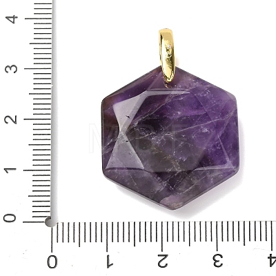 Natural Amethyst Faceted Pendants G-B188-03G-05-1