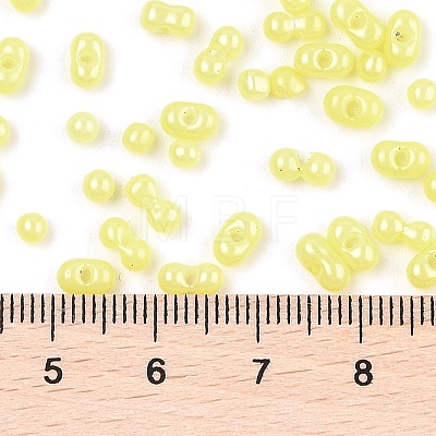 Baking Paint Glass Seed Beads SEED-L011-09A-20-1