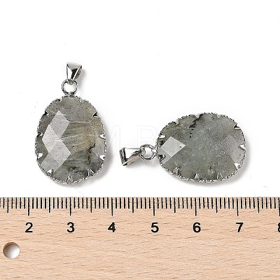 Natural Labradorite Pendants G-H086-01P-05-1