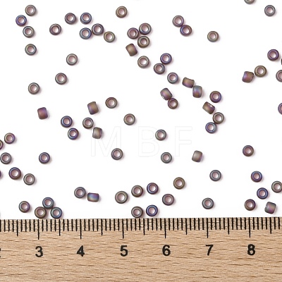 TOHO Round Seed Beads SEED-JPTR08-0166CF-1