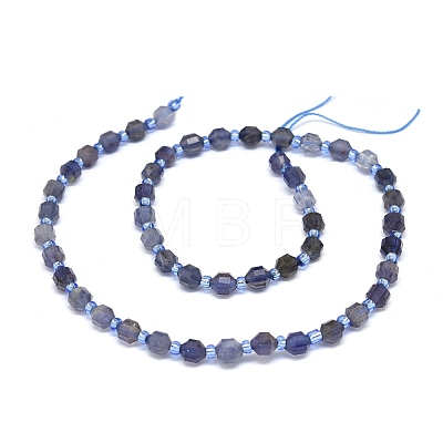 Natural Iolite Beads Strands G-O201B-02-1