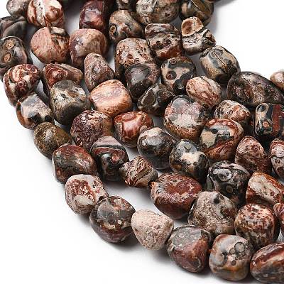 Natural Leopard Skin Jasper Beads Strands G-B161-A03-1