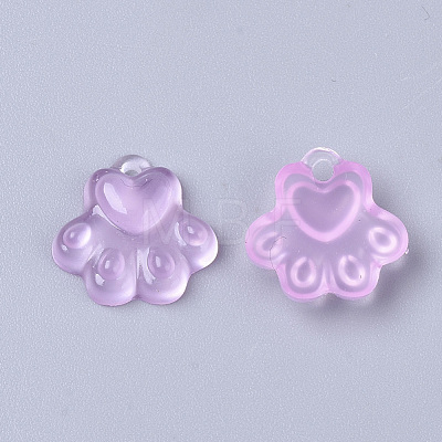 Translucent Resin Charms RESI-T040-033-1