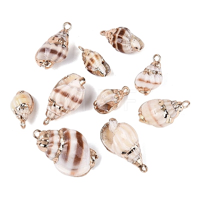Electroplate Natural Spiral Shell Pendants SSHEL-Q100-33G-1