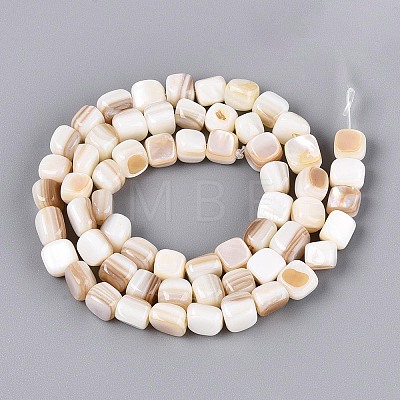 Natural Freshwater Shell Beads Strands BSHE-T014-51A-1