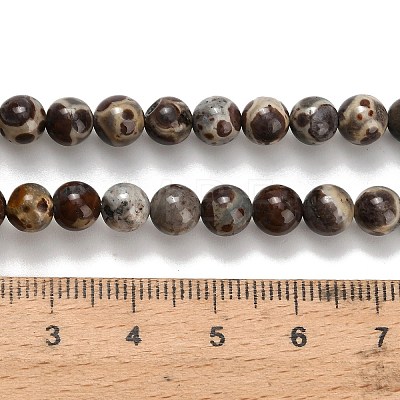 Natural Astroite Jasper Beads Strands G-H329-C02-6mm-1